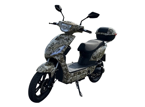 EEG Elektrische Scooter