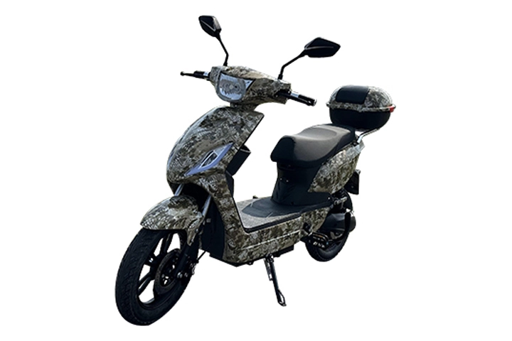 EEG Elektrische Scooter