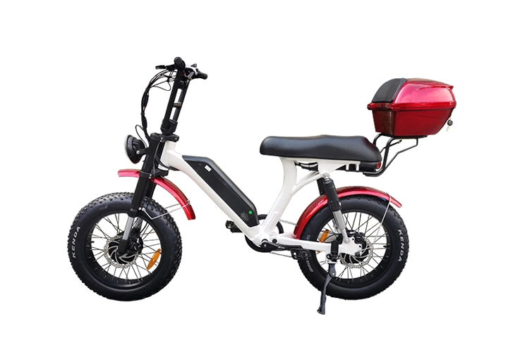 Dubbele motor vetband elektrische fiets