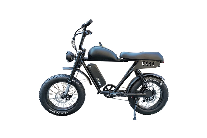 electric cycle fat bike