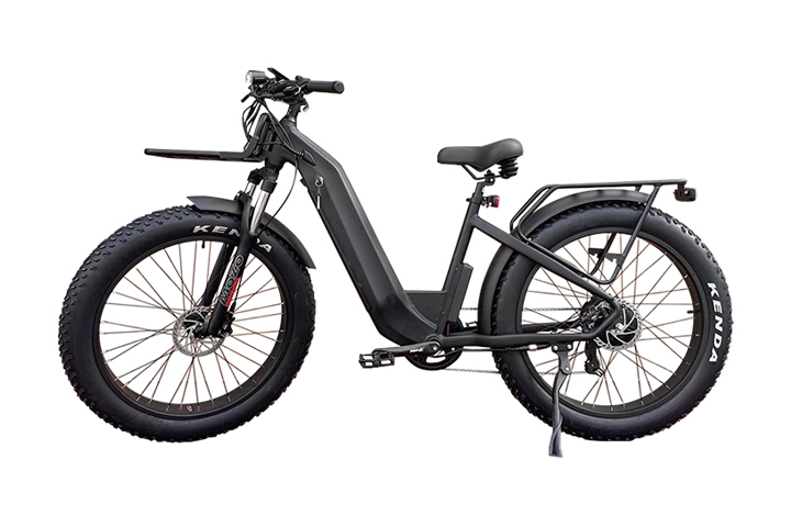 750w elektrische mountainbike