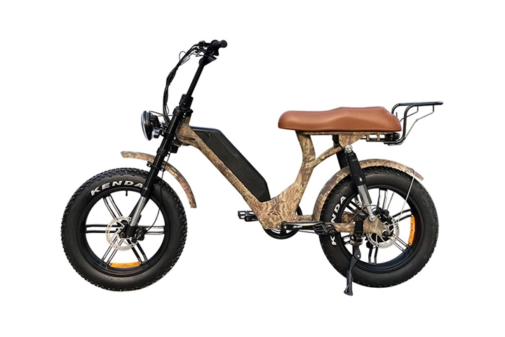 step through fat tire ebike