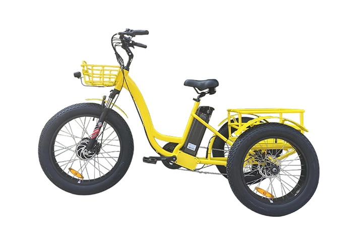 e bike trike