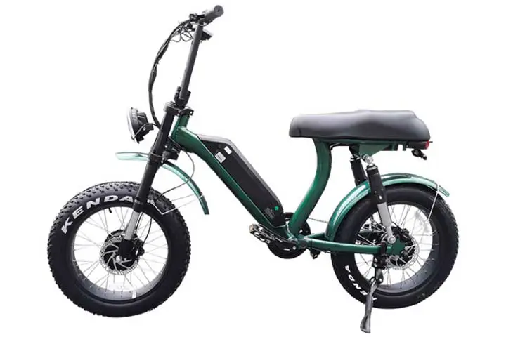 dual motor fat tire electric bike