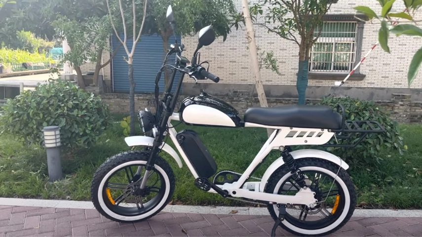 48V 1000W Bafang motor volledige ophanging elektrische vetfiets met koppelsensor fabrikant in China