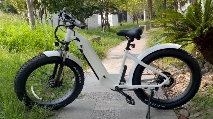 China Beste stap door elektrische vetfiets voor dames