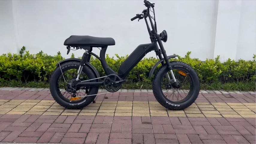 China Fabriek 750W Step Thru Elektrische Fat Bike voor Vrouwen