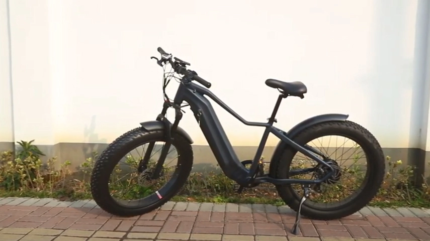 China Electric Bike Company