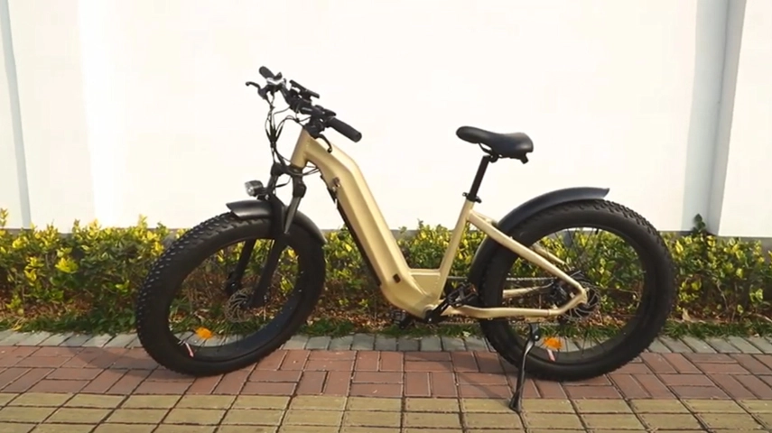 China Fat Tire Mountain elektrische fiets fabrikant