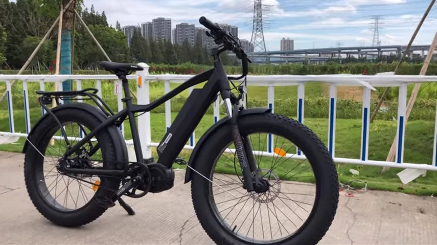 Big Power 1000W Fat Tire Ebike met centrale motor