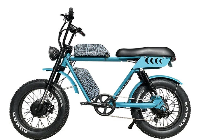 52V Dual Motor Batterijen Elektrische Fiets