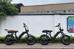 Wat is verwijderbare batterij Ebike?