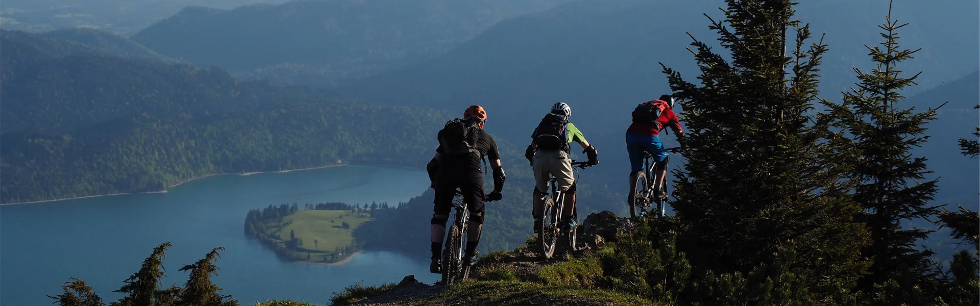 Ebike groothandelaar