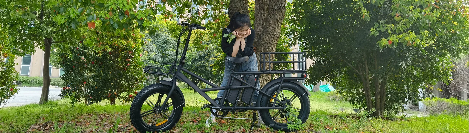 Elektrische vrachtfiets