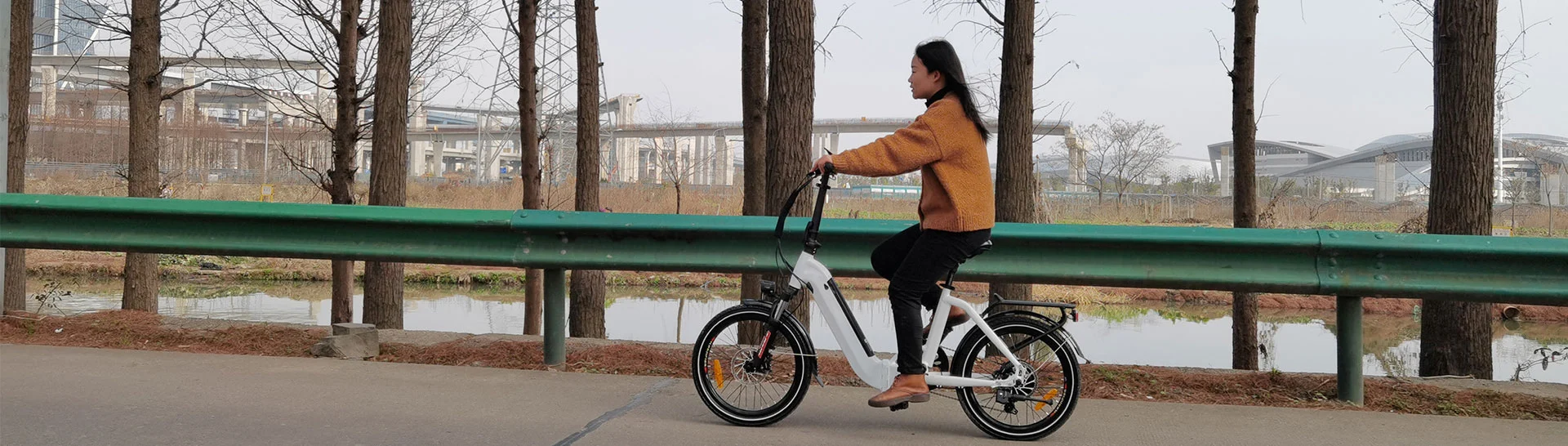 Elektrische stadsfiets