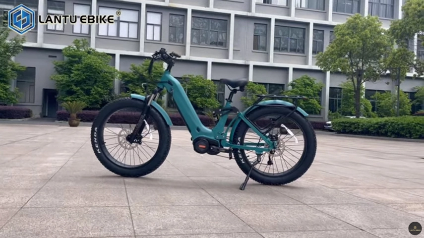 China OEM Elektrische Fiets met 1000w Mid Drive Motor