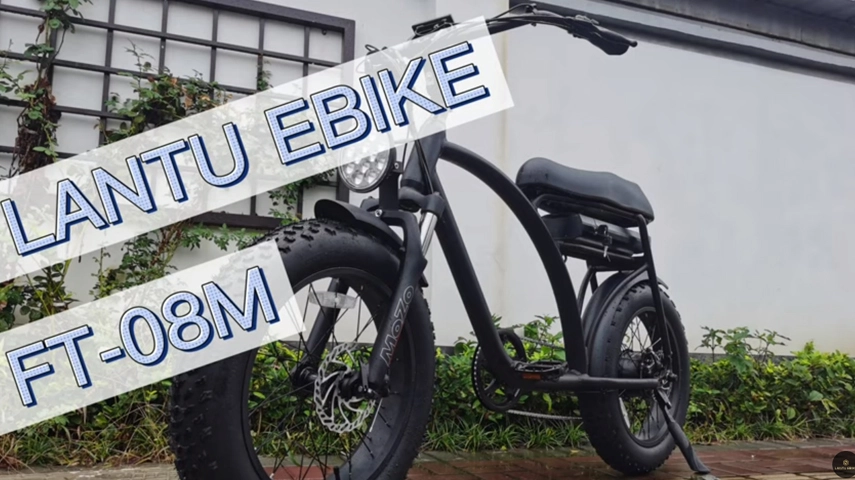 De beste fabrikant van elektrische fietsen van Beach Cruiser uit China