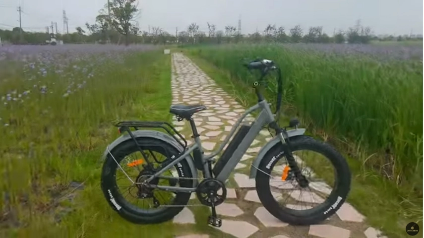 24 inch stap door dikke ebikes