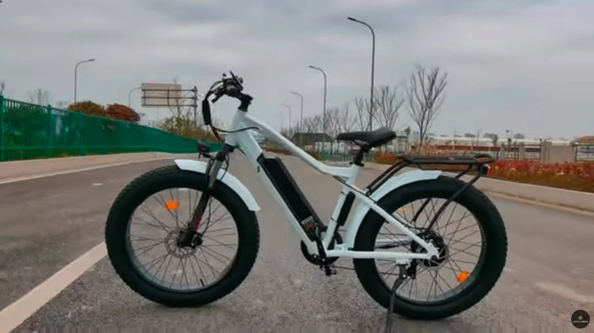 Op maat gemaakte vette band ebike