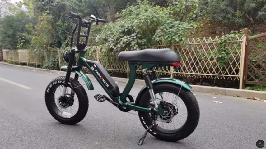 Dubbele Motoren Vetband Elektrische Fiets