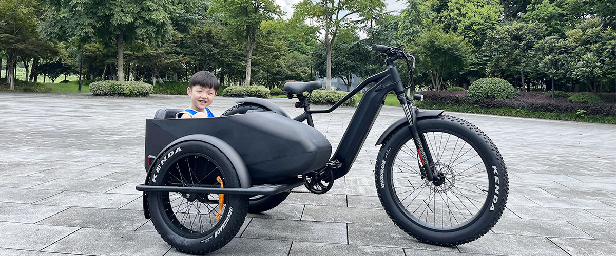 Electric Scooter Bike with Pedals