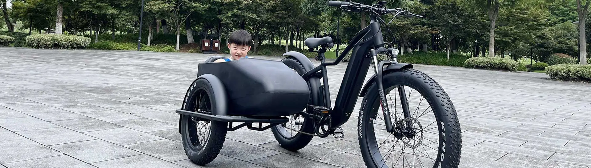 Elektrische Fiets Met Sidecar