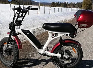 Hoe werken Dual Motor Ebikes?