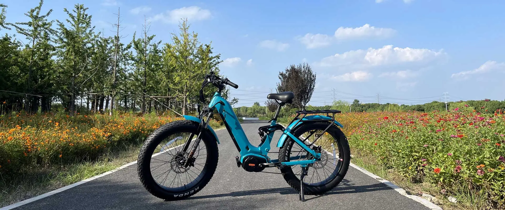 Elektrische mountainbike met volledige ophanging