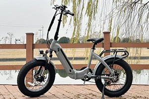 Is het de moeite waard om een lantu ebike te hebben?