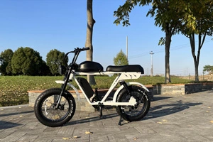 Hoe een elektrische fiets kiezen?