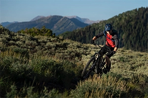 Bereik en snelheid van elektrische mountainbikes: de charme van de natuur loslaten