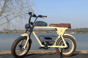 Hoe kies je de juiste ebike voor jou?